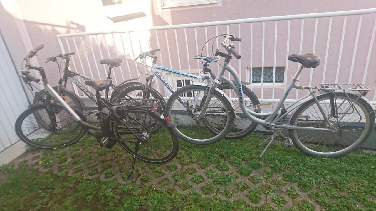 Ferienwohnung Lang Nittenau 외부 사진